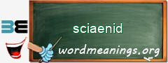 WordMeaning blackboard for sciaenid